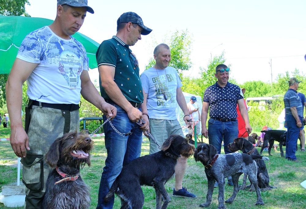 Выставка охотничьих собак и их состязание пройдут в Красноармейском районе