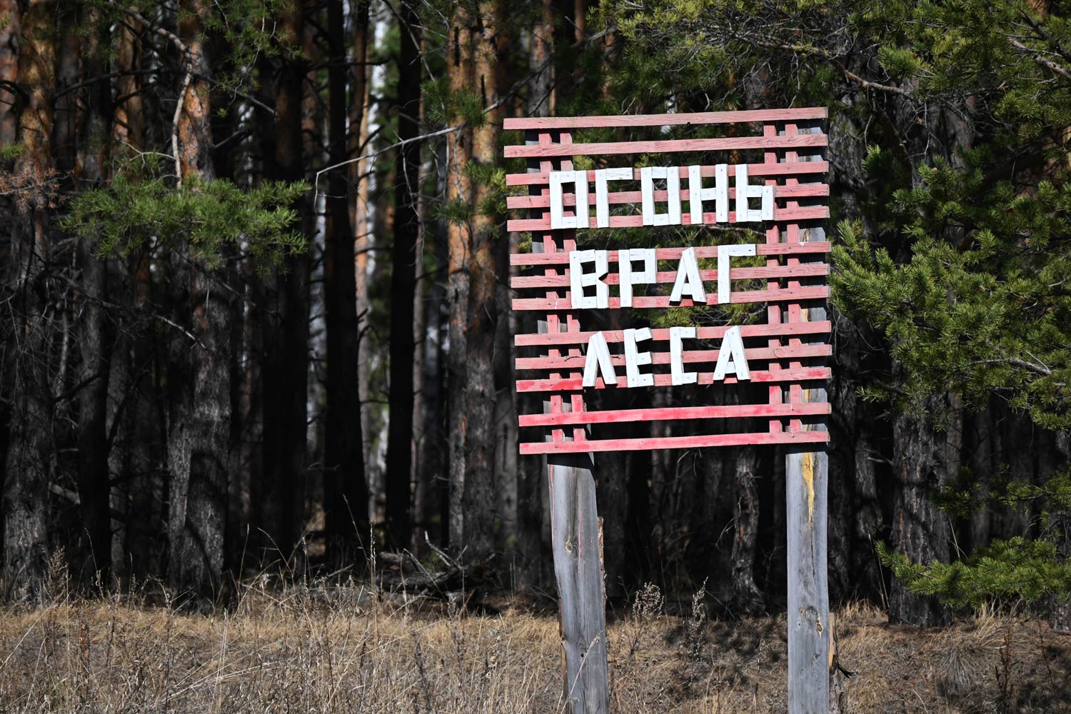 Пожары в лесах и на ландшафтах! Жителям Красноармейского района запрещают разводить костры