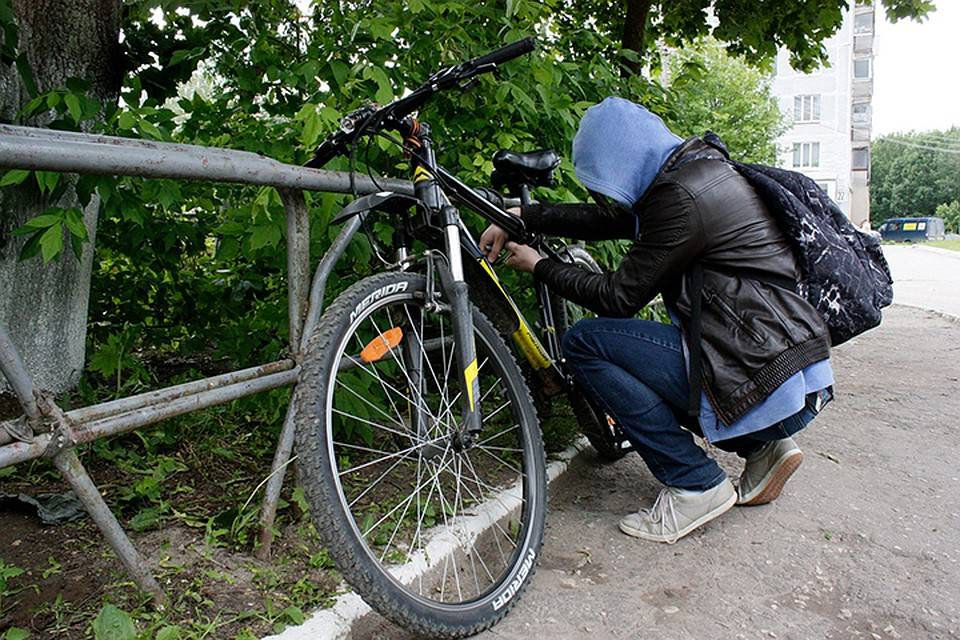 Кражи велосипедов и животных зафиксированы в Красноармейском районе