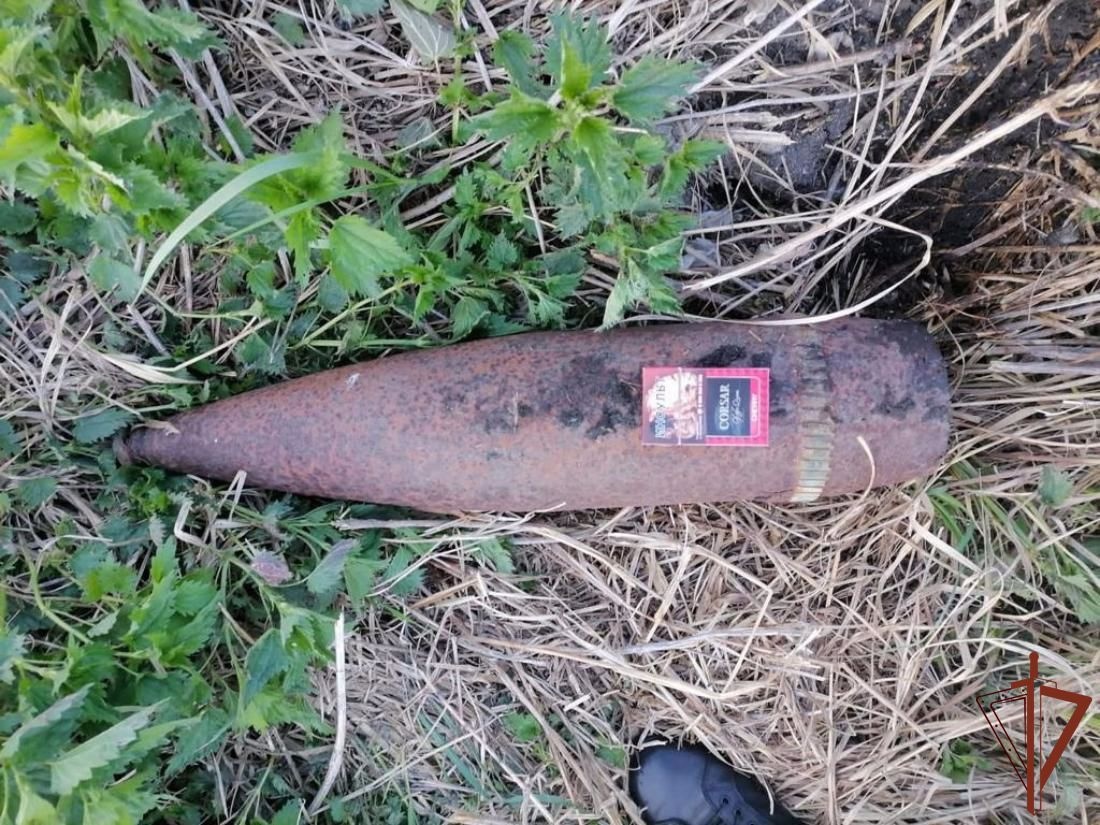 В Красноармейском районе найденный снаряд обезвредили специалисты Росгвардии