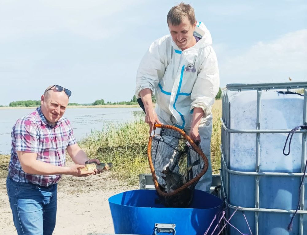 За один день рыбы стало больше в водоёмах Красноармейского района 