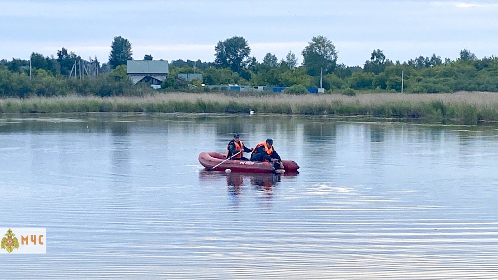 Двое мужчин утонули в водоеме, спасая лебедей из западни в Челябинской области