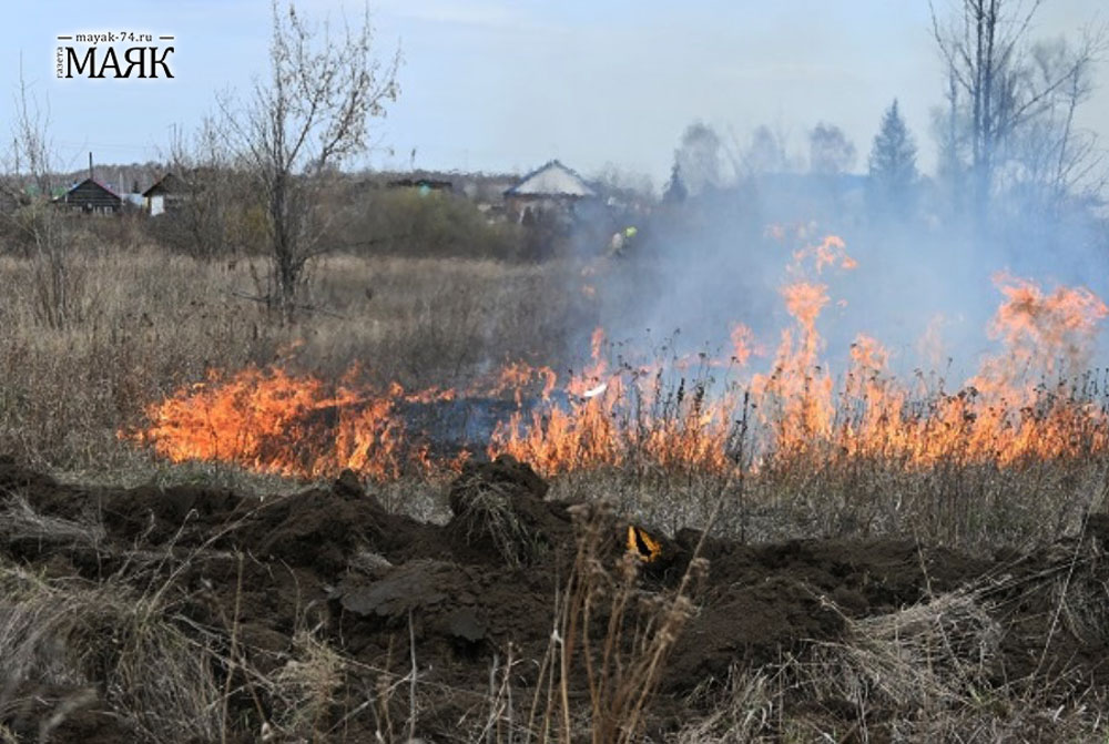 Соседние области горят! Особый противопожарный режим сохраняется в Красноармейском районе