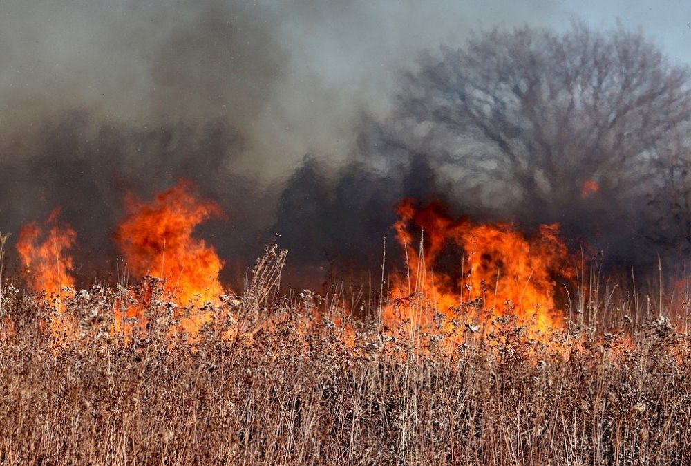 Первые пожары из-за неосторожности людей зафиксированы в Красноармейском районе