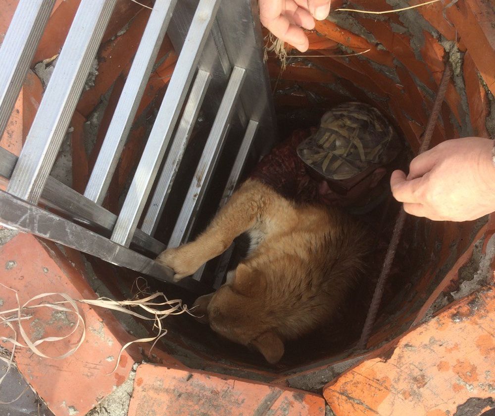 Жители спасли собаку из глубокого колодца в Красноармейском районе